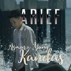 Arief - Asmara Yang Kandas
