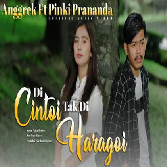 Download Lagu Anggrek - Di Cintoi Tak Di Haragoi Ft Pinki Prananda Terbaru