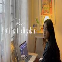 Download Lagu Chintya Gabriella - Hati Hati Di Jalan Terbaru