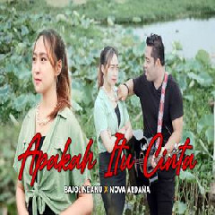 Download Lagu Bajol Ndanu - Apakah Itu Cinta Feat Nova Ardana Terbaru