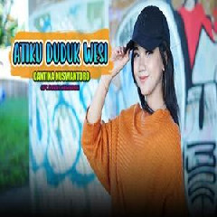 Download Lagu Cantika Nuswantoro - Atiku Dudu Wesi (Dangdut) Terbaru