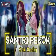 Download Lagu Cak Sodiq - Santri Pekok Ft New Monata Terbaru