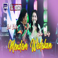 Download Lagu Lala Widy - Mendem Wedokan Feat Cak Sodiq Terbaru