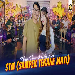 Download Lagu Happy Asmara - STM (Sampek Tekane Mati) Ft Gilga Sahid Terbaru