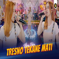 Download Lagu Ajeng Febria - Tresno Tekane Mati Terbaru