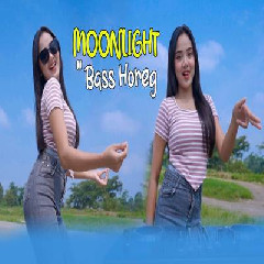 Download Lagu Dj Tanti - Dj Cek Sound Moonlight Reborn Bass Horeg Terbaru