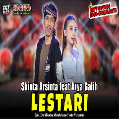 Download Lagu Shinta Arsinta - Lestari Feat Arya Galih Terbaru