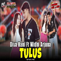 Download Lagu Diva Hani - Tulus Ft Widhi Arjuna Terbaru