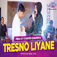Download Lagu Fida AP X David Chandra - Tresno Liyane Terbaru