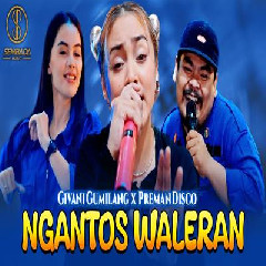 Download Lagu Givani Gumilang X Preman Disco - Ngantos Waleran Terbaru