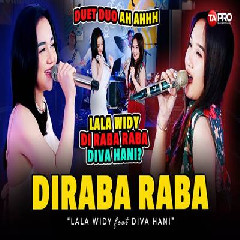 Download Lagu Diva Hani Ft Lala Widy - Diraba Raba Terbaru