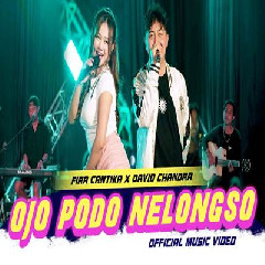 Download Lagu Fira Cantika X David Chandra - Ojo Podo Nelongso Terbaru